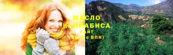твердый Богородицк