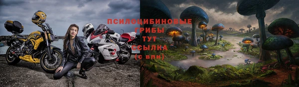 mdpv Богородск